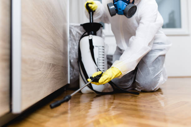 Best Pest Control Near Me  in Universal City, TX