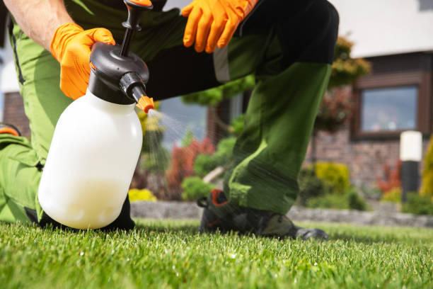 Best Emergency Pest Control  in Universal City, TX