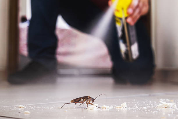 Best Wildlife Control Services  in Universal City, TX