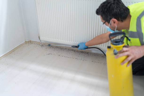 Best Pest Removal Services  in Universal City, TX