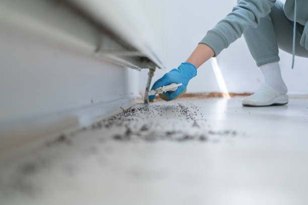 Best Commercial Pest Control Services  in Universal City, TX